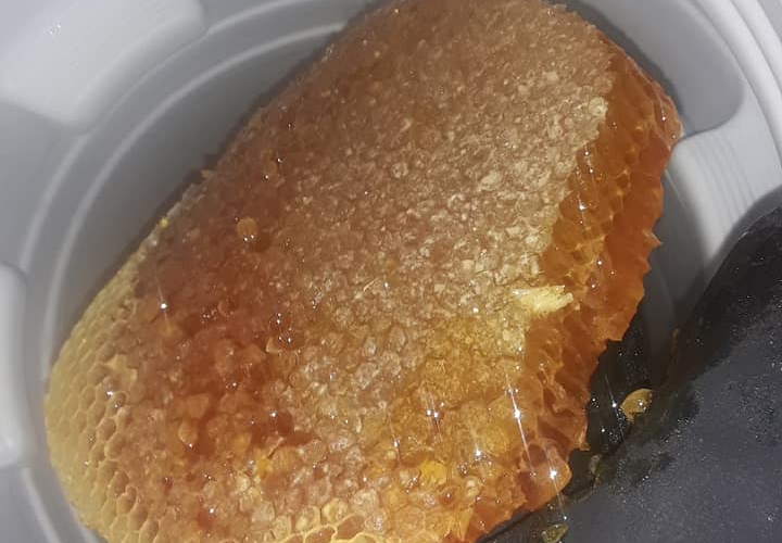 عسل حر طبيعي بدون علف